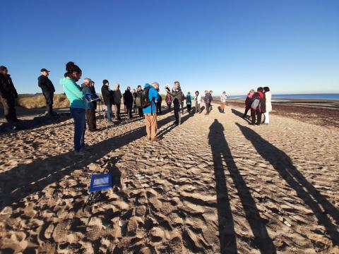 Déplacement sur le littoral de Graye-sur-Mer